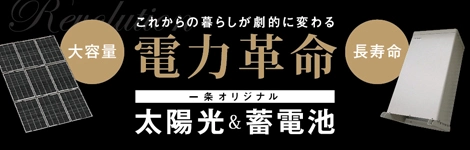 これからの暮らしが劇的に変わる電力革命