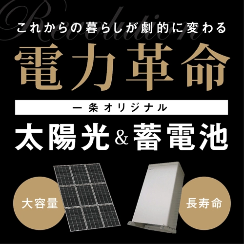 これからの暮らしが劇的に変わる電力革命